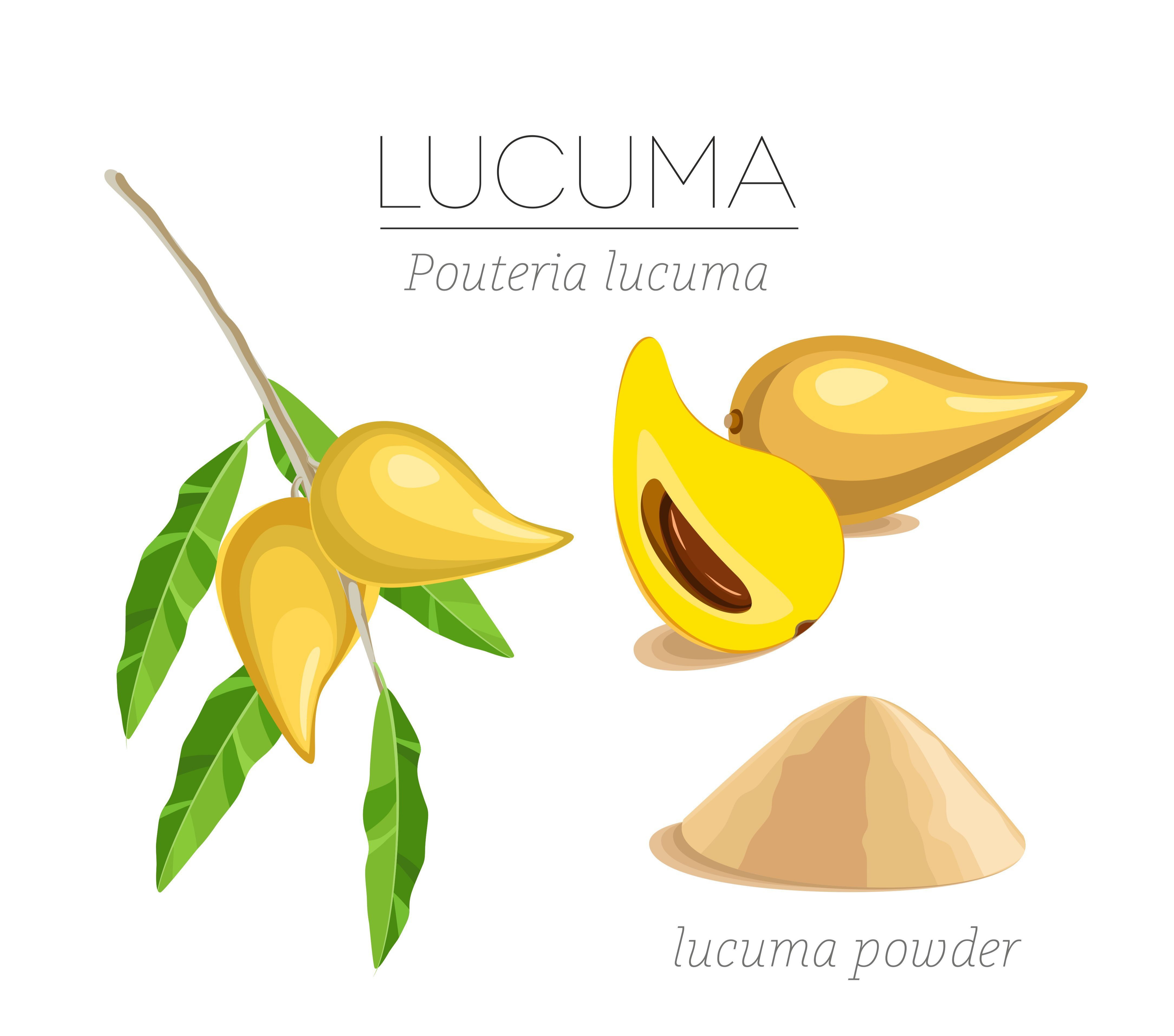 Lucuma powder, which comes from the native Peruvian Lucuma plant, is known to have a delicious flavor and is boasted as having several health benefits.